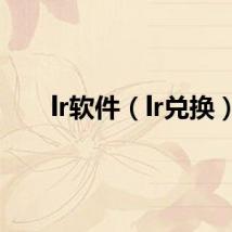 lr软件（lr兑换）