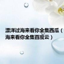 漂洋过海来看你全集西瓜(漂洋过海来看你全集百度云)