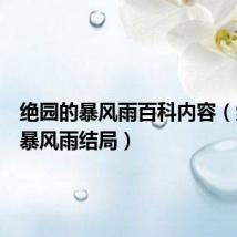 绝园的暴风雨百科内容(绝园的暴风雨结局)