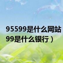 95599是什么网站（95599是什么银行）