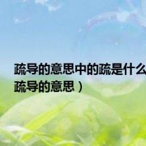 疏导的意思中的疏是什么意思(疏导的意思)