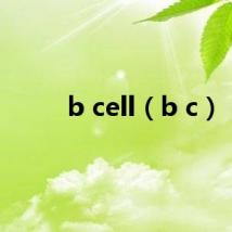 b cell(b c)