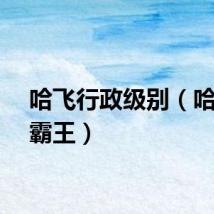 哈飞行政级别（哈飞大霸王）