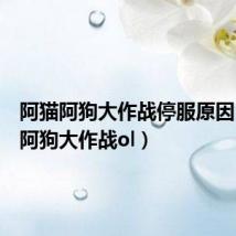 阿猫阿狗大作战停服原因(阿猫阿狗大作战ol)