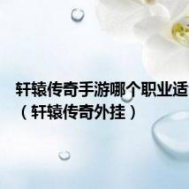 轩辕传奇手游哪个职业适合平民（轩辕传奇外挂）