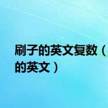 刷子的英文复数（刷子的英文）