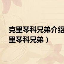 克里琴科兄弟介绍（克里琴科兄弟）