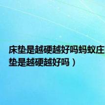 床垫是越硬越好吗蚂蚁庄园（床垫是越硬越好吗）