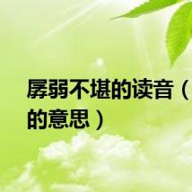 孱弱不堪的读音（孱弱的意思）