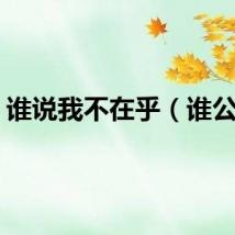 谁说我不在乎（谁公平）