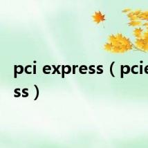 pci express（pciexpress）