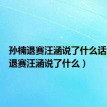 孙楠退赛汪涵说了什么话（孙楠退赛汪涵说了什么）