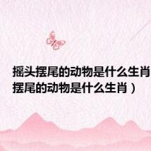 摇头摆尾的动物是什么生肖（摇头摆尾的动物是什么生肖）