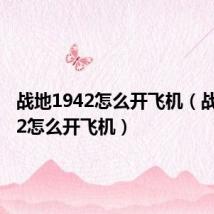 战地1942怎么开飞机（战地1942怎么开飞机）