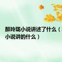 醉玲珑小说讲述了什么（醉玲珑小说讲的什么）