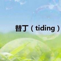 替丁（tiding）