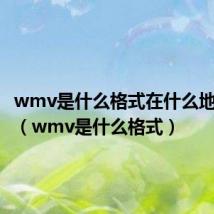 wmv是什么格式在什么地方播放（wmv是什么格式）