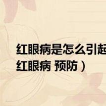 红眼病是怎么引起的（红眼病 预防）