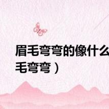 眉毛弯弯的像什么（眉毛弯弯）