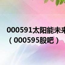 000591太阳能未来估值（000595股吧）