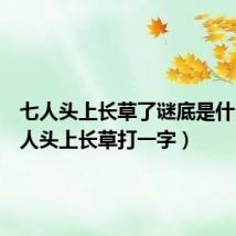 七人头上长草了谜底是什么（七人头上长草打一字）