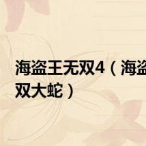 海盗王无双4（海盗王无双大蛇）