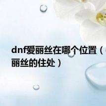 dnf爱丽丝在哪个位置（dnf爱丽丝的住处）