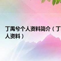 丁禹兮个人资料简介（丁禹兮个人资料）