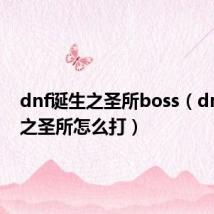 dnf诞生之圣所boss（dnf诞生之圣所怎么打）