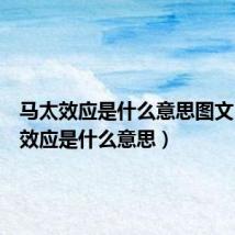 马太效应是什么意思图文（马太效应是什么意思）