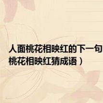 人面桃花相映红的下一句（人面桃花相映红猜成语）
