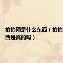 拍拍网是什么东西(拍拍网的东西是真的吗)