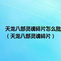 天龙八部灵魂碎片怎么批量使用（天龙八部灵魂碎片）