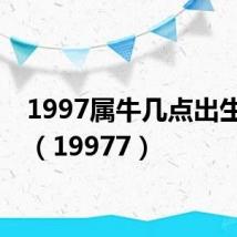 1997属牛几点出生最好（19977）