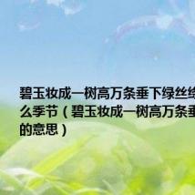 碧玉妆成一树高万条垂下绿丝绦写的是什么季节（碧玉妆成一树高万条垂下绿丝绦的意思）