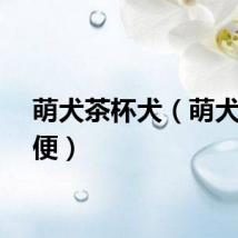 萌犬茶杯犬（萌犬便便便）