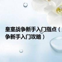 皇室战争新手入门指点（皇室战争新手入门攻略）