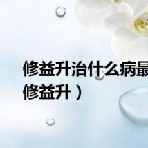 修益升治什么病最好（修益升）