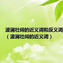 波澜壮阔的近义词和反义词是什么（波澜壮阔的近义词）