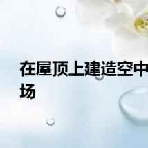在屋顶上建造空中育苗场