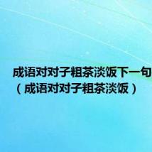 成语对对子粗茶淡饭下一句是什么（成语对对子粗茶淡饭）