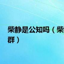 柴静是公知吗（柴静 苏群）