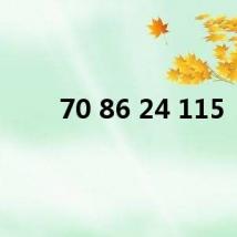70 86 24 115