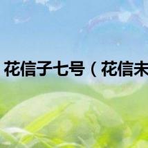 花信子七号（花信未晚）