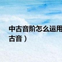中古音阶怎么运用（中古音）