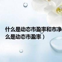 什么是动态市盈率和市净率（什么是动态市盈率）
