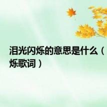 泪光闪烁的意思是什么（泪光闪烁歌词）
