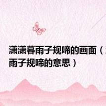 潇潇暮雨子规啼的画面（潇潇暮雨子规啼的意思）
