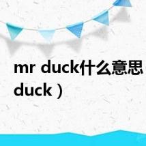 mr duck什么意思（mr duck）