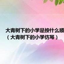 大青树下的小学是按什么顺序写的（大青树下的小学仿写）